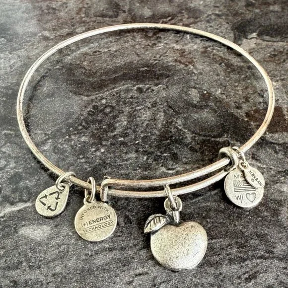 Alex and Ani Apple Charm Bracelet Silver Nature Expandable Bangle - Picture 1 of 14